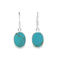 Drop Earrings – Sterling Silver Sterling Silver