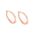 Gold Plated Earrings Sterling Silver Gold Plated / 14.4 g