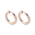 Gold Plated Earrings Sterling Silver Gold Plated / 9.6 g