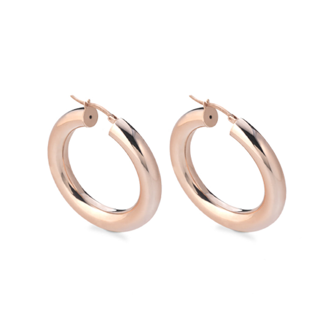 Gold Plated Earrings Sterling Silver Gold Plated / 9.6 g