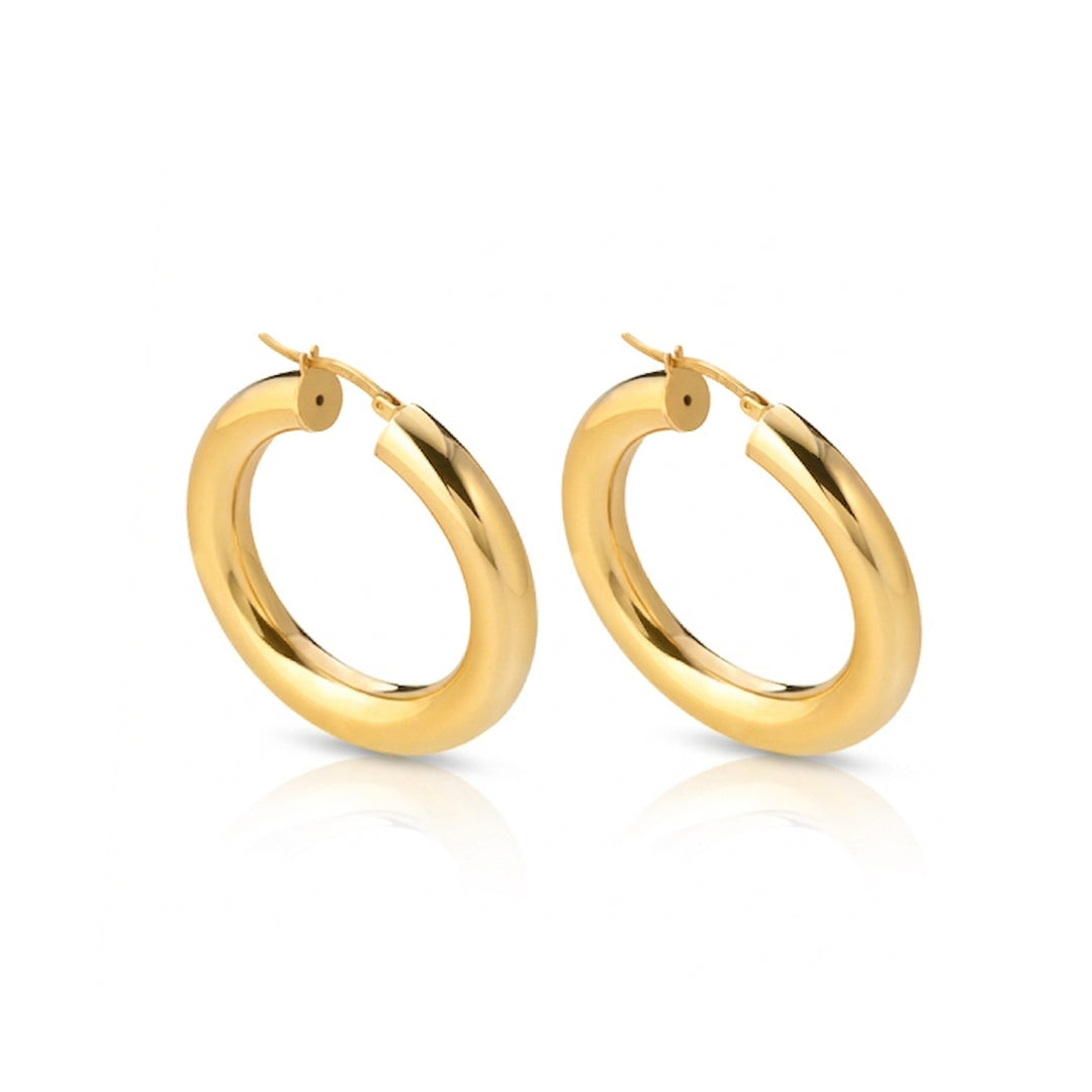 Gold Plated Earrings Sterling Silver Gold Plated / 9.6 g