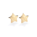 Gold Plated Earrings Sterling Silver Gold Plated / 4.5 g