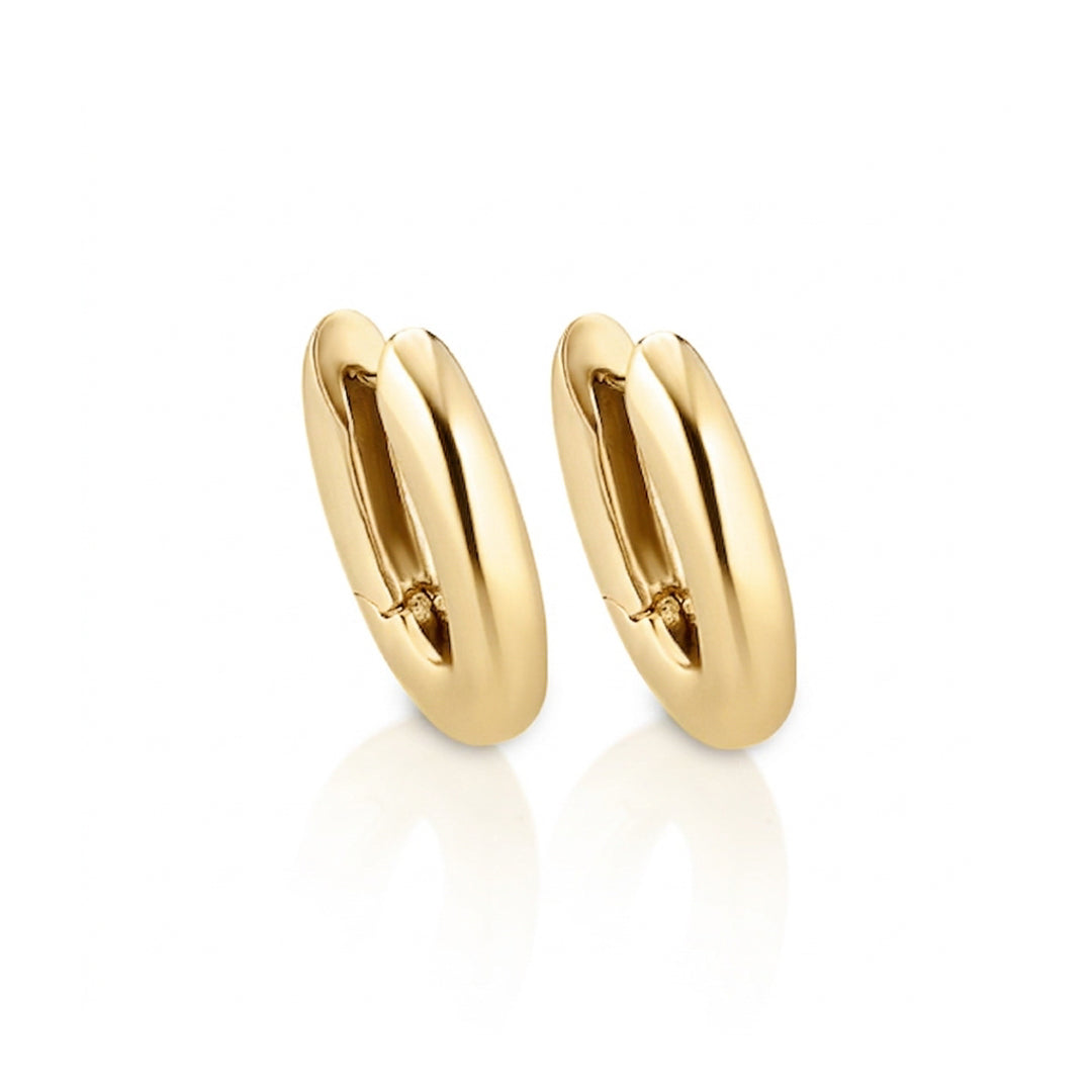 Gold Plated Earrings Sterling Silver Gold Plated / 4.3 g