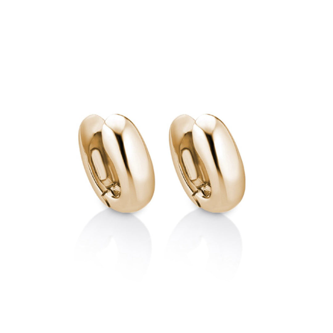 Gold Plated Earrings Sterling Silver Gold Plated / 5.6 g